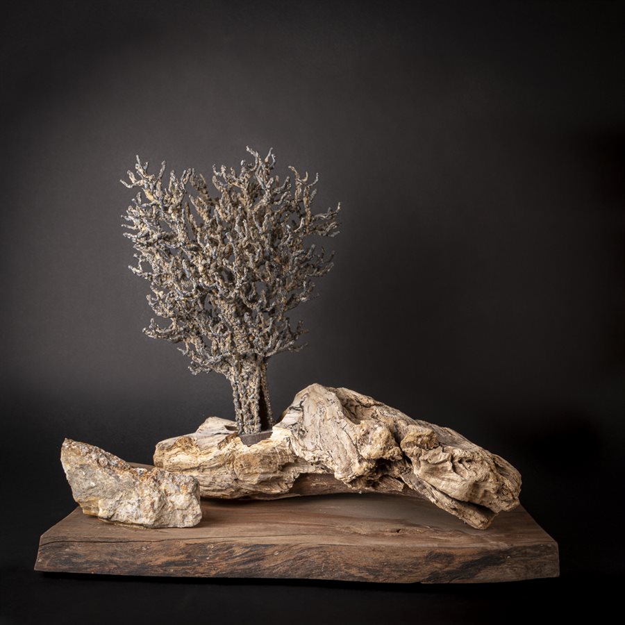 Un ensemble de trois arbres peints à l'aquarelle | Vecteur Premium