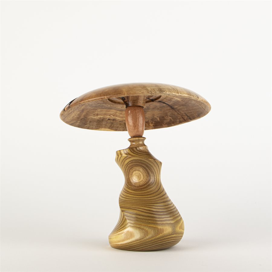 Champignon de bois prune - France