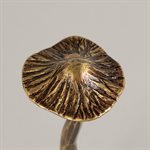 Sylvestre 4 – champignon décoratif en laiton forgé