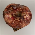 Le patriarche – sculpture champignon en laiton forgé