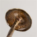 Découverte 11 – Champignon décoratif en laiton