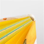 Square lemon notebook (small) with varied pages