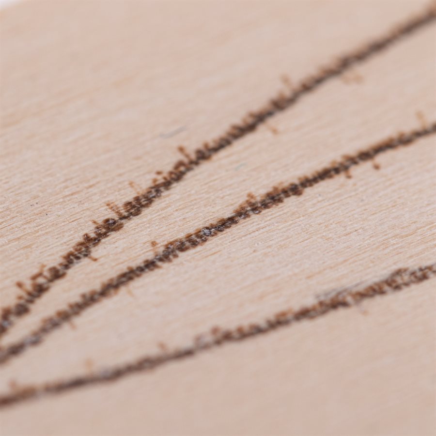 Signet en bois pyrogravé, modèle Avant l'éclosion Signet en bois pyrogravé, modèle Avant l'éclosion