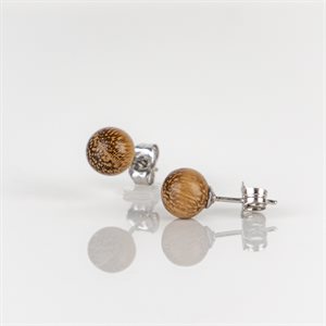 Boucle d'oreille en Robinier sur attache en argent