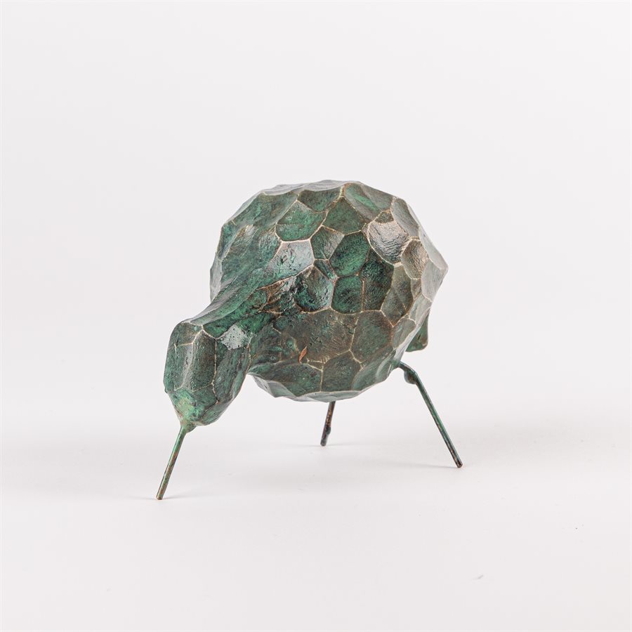 Petit oiseau de rivage