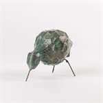 Petit oiseau de rivage