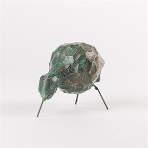 Petit oiseau de rivage