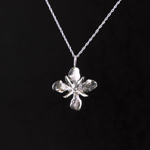 Pendant Fireweed