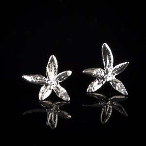 Earrings Labrador tea d’oreille fixed pandite