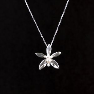 Pendant Bastianii orchid with pearl white
