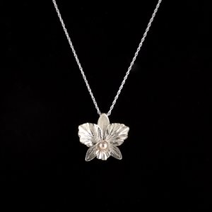 Pendant Cattleya orchid