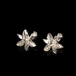 Earrings Calopogon orchid fixed with pearl white