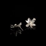 Earrings Calopogon orchid fixed with pearl white