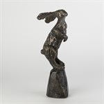 Sarajevo bunny 5 / 50