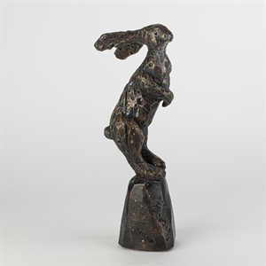 Sarajevo bunny 5 / 50