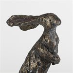 Sarajevo bunny 5 / 50