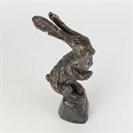 Sarajevo bunny 5 / 50