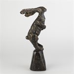 Sarajevo bunny 5 / 50