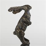 Sarajevo bunny 5 / 50