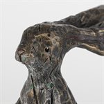 Sarajevo bunny 5 / 50