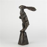 Sarajevo bunny 5 / 50