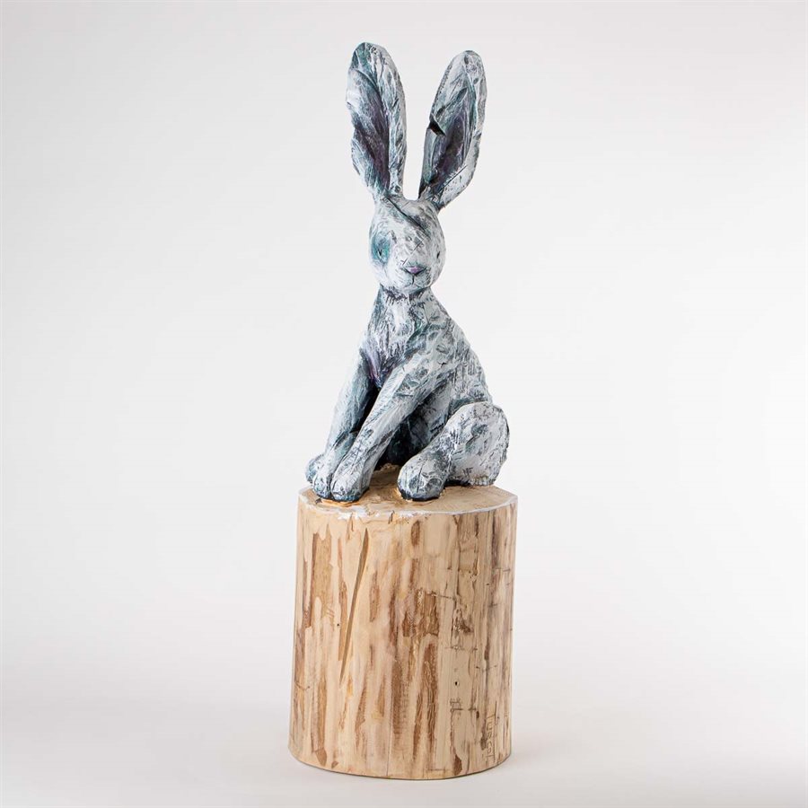 Black eye rabbit Black eye rabbit