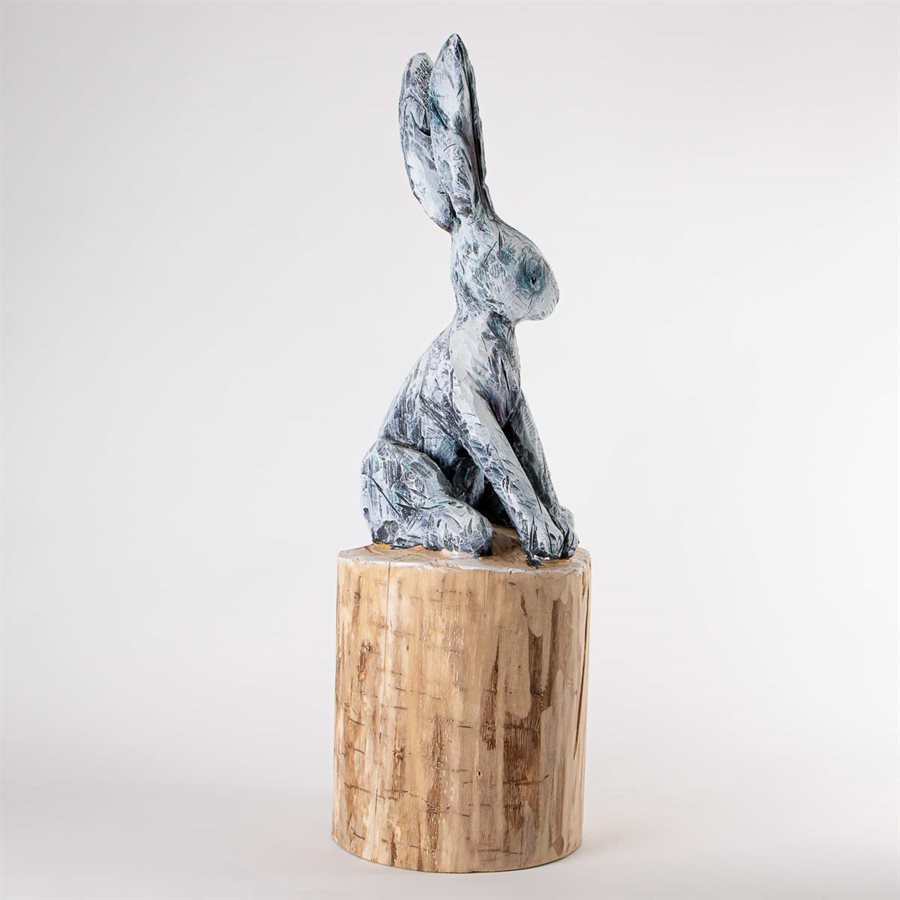 Black eye rabbit Black eye rabbit