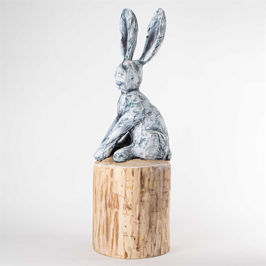 Black eye rabbit Black eye rabbit