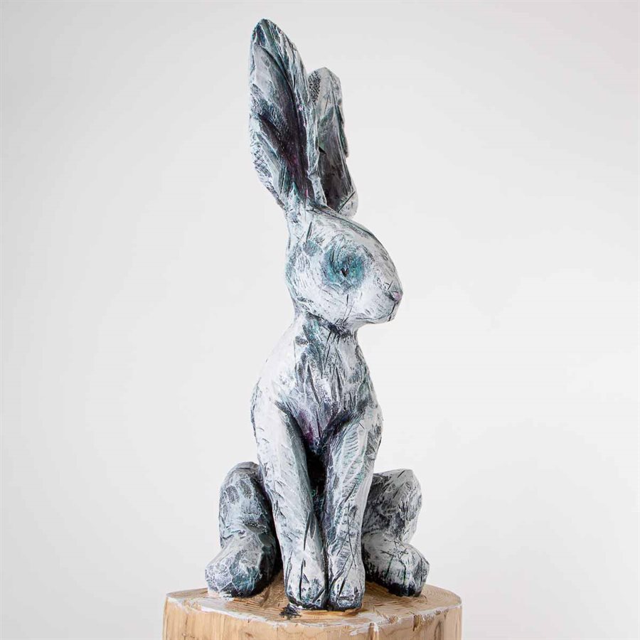 Black eye rabbit Black eye rabbit