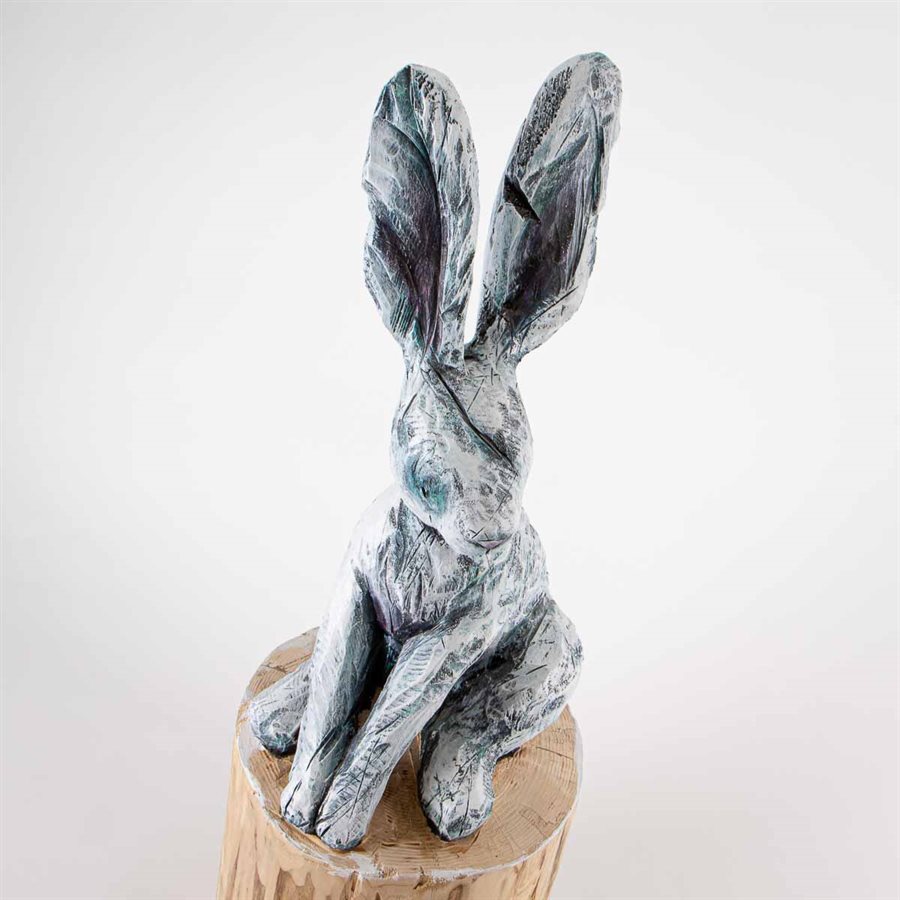 Black eye rabbit Black eye rabbit