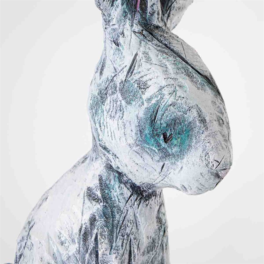 Black eye rabbit Black eye rabbit