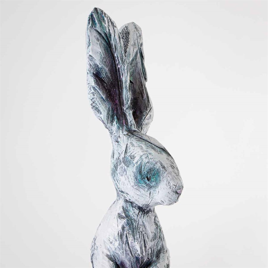 Black eye rabbit Black eye rabbit
