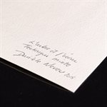 The tree and the bark