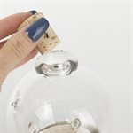 Mini greenhouse made of ceramic and glass