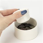 Mini greenhouse made of ceramic and glass