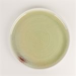 Porcelain dinner plate with green interior