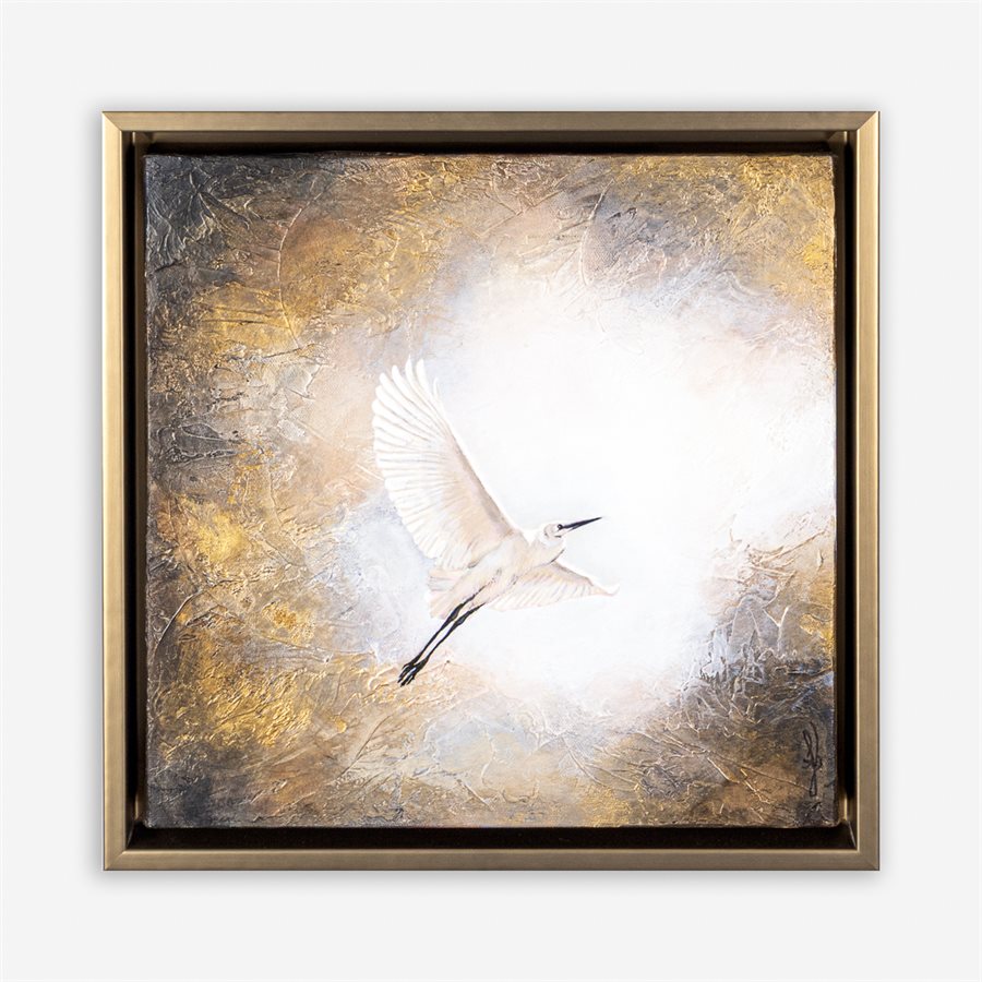 Towards the Light Towards the Light