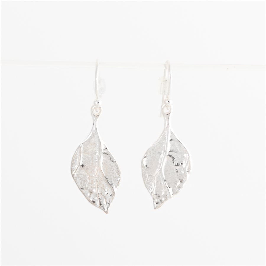 Boucle d'oreilles feuille de ligularia en argent Boucle d'oreilles feuille de ligularia en argent