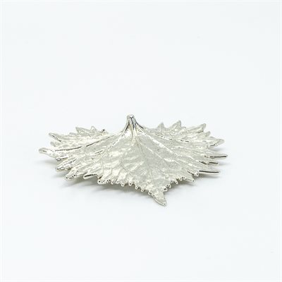 Broche feuille de liguaria Broche feuille de liguaria