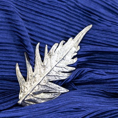 Broche en argent, feuille de sureau plumeux Broche en argent, feuille de sureau plumeux