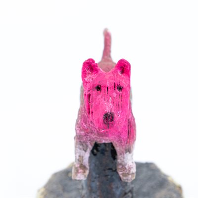 Petit monument au chien à la tête rose Petit monument au chien à la tête rose