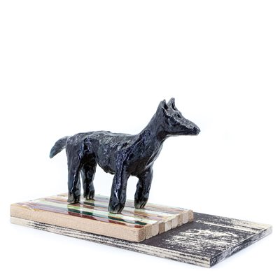 Chien noir Chien noir