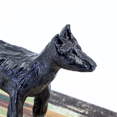 Chien noir Chien noir