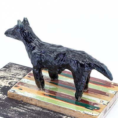 Chien noir Chien noir