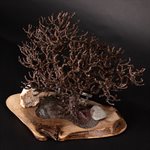 Arbre du bout du champ