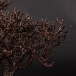 Arbre du bout du champ