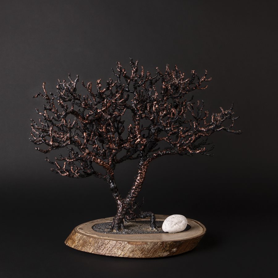 The corsair The corsair