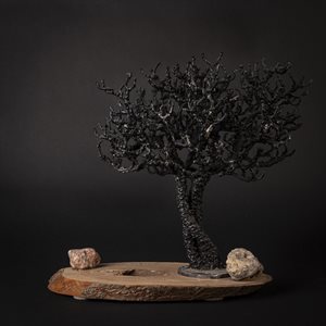 L'arbre et son trou