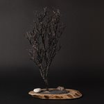 The great stretched out one The great stretched out one