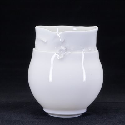 Verre en porcelaine Verre en porcelaine